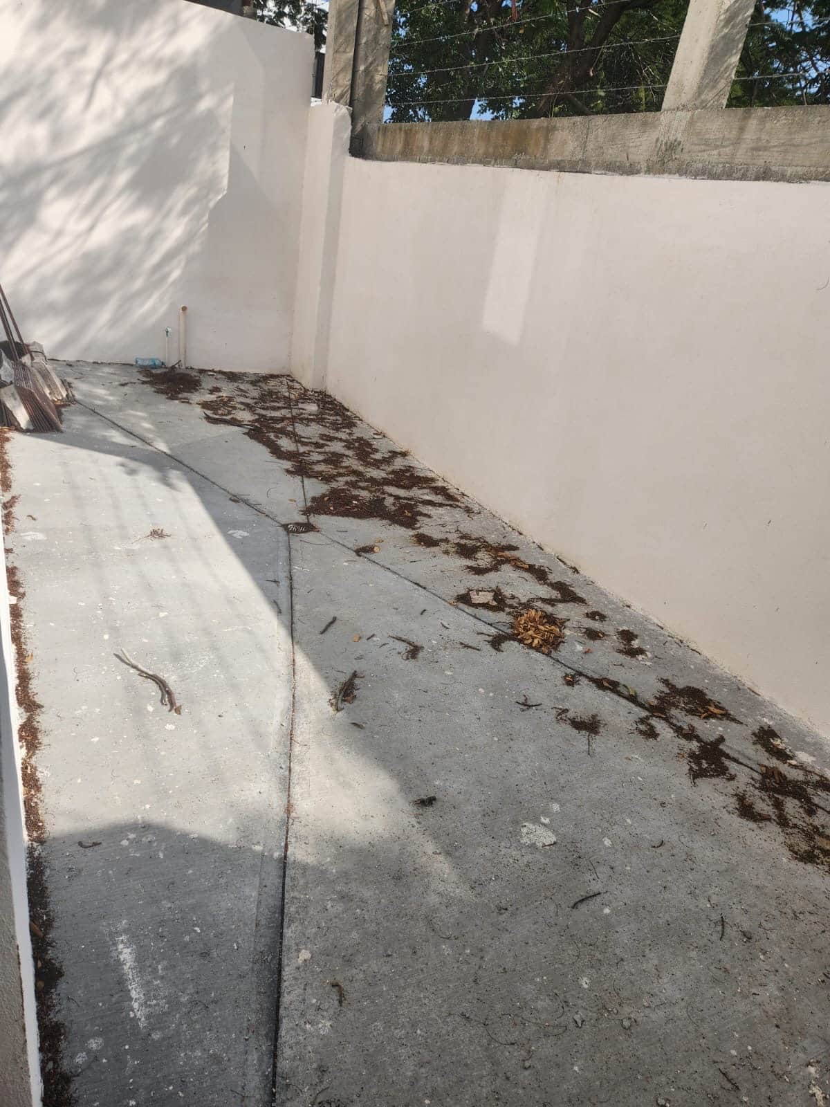 0746c2c8-649a-41b7-ab0b-a30a24241595