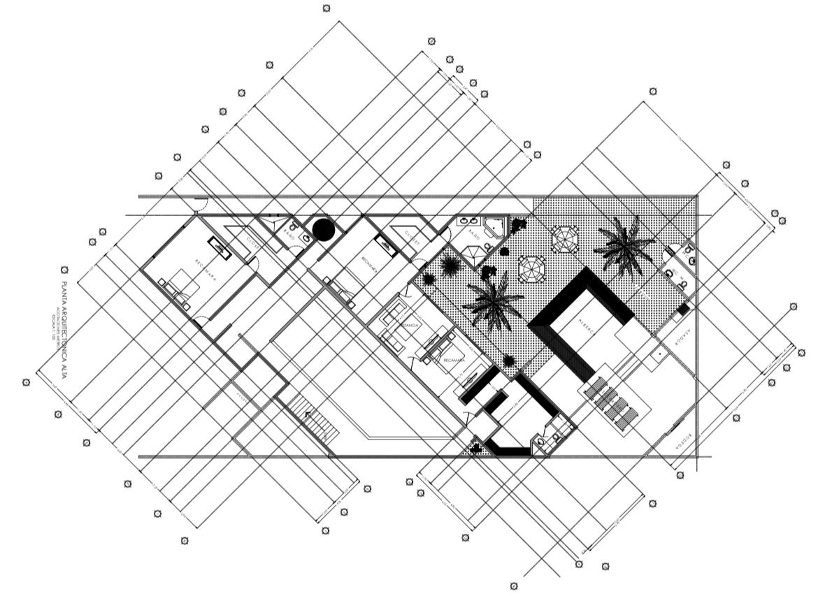 croquis planta alta