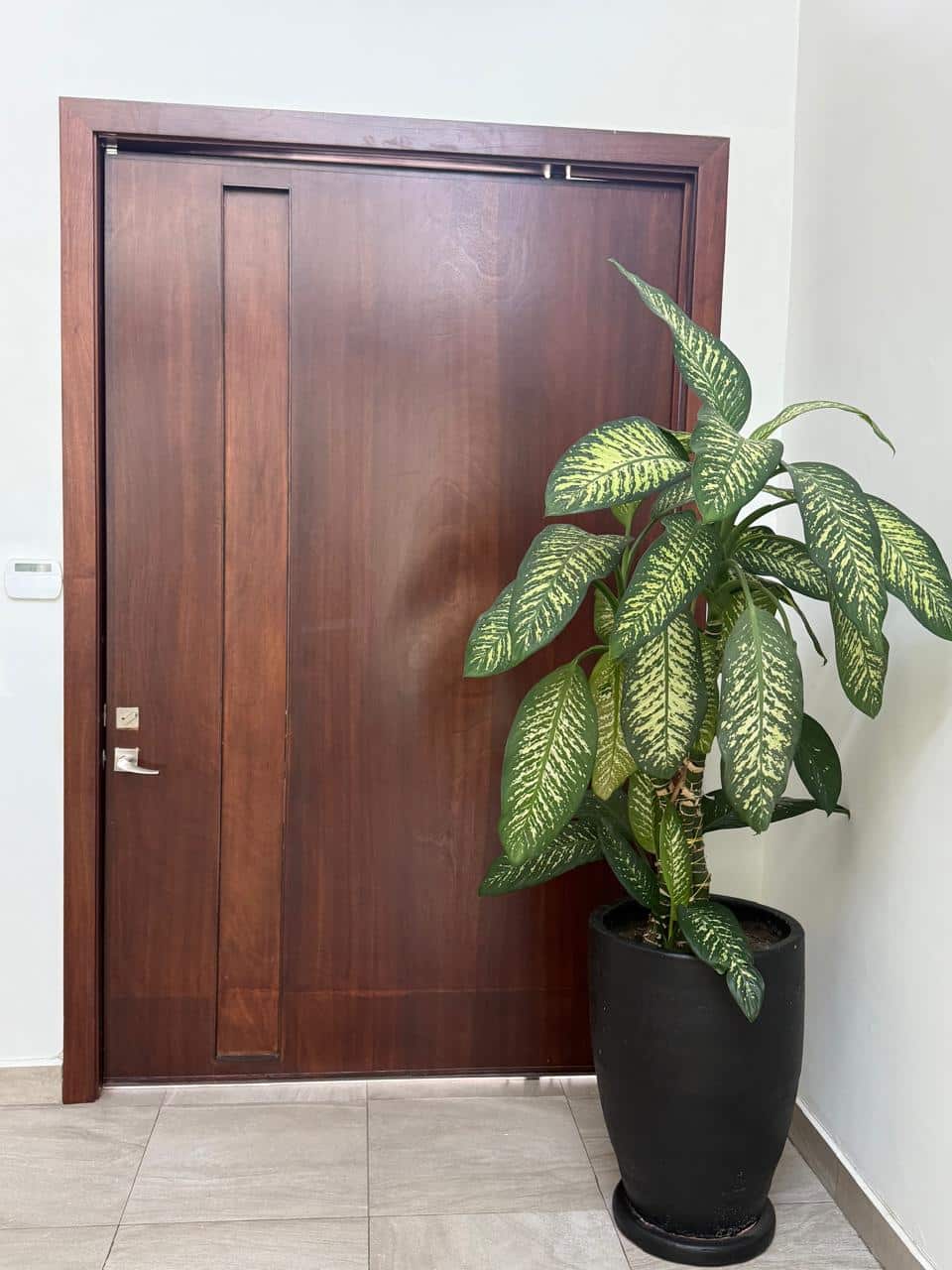 5fb6a20e-176d-4cad-9a08-94d9abd0a00d