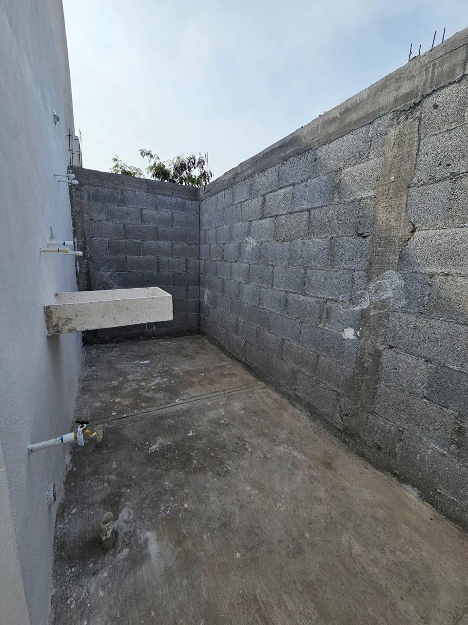 1bf86262-dd94-4ffa-8392-627e79f8c91c