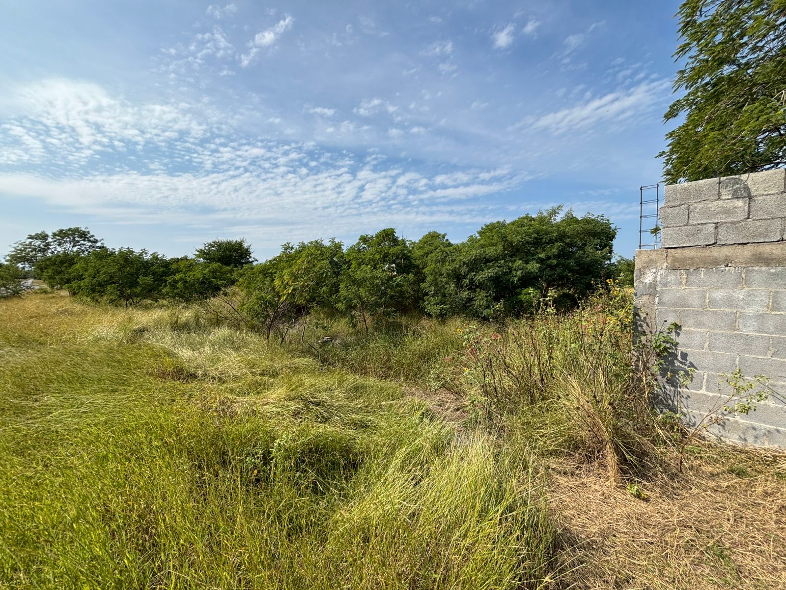 WhatsApp Image 2025-12-05 at 9.30.56 AM